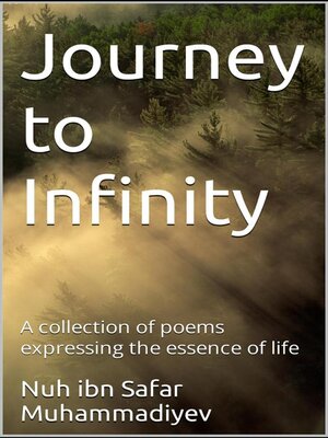 cover image of Journey to Infinity